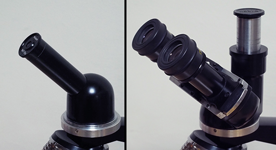 これが私の顕微鏡② 出前スコープ：ニコン・GH2 | 顕微鏡撮影・映像