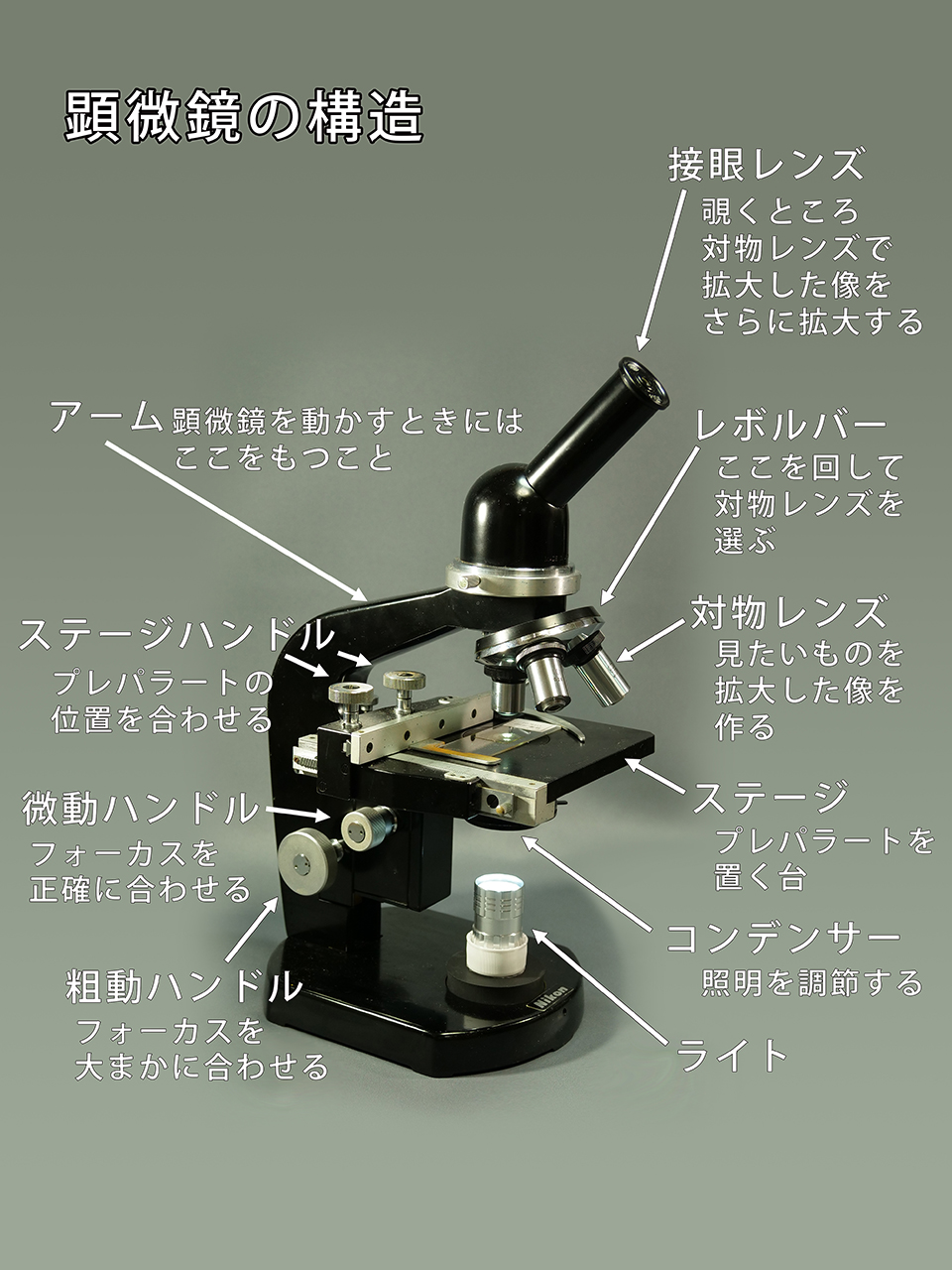 顕微鏡 を 作る