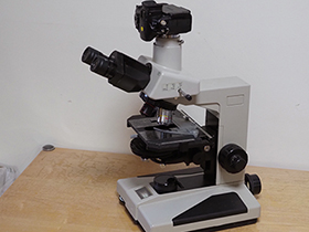 これが私の顕微鏡③ かつての名器：ニコン・オプチフォト | 顕微鏡撮影